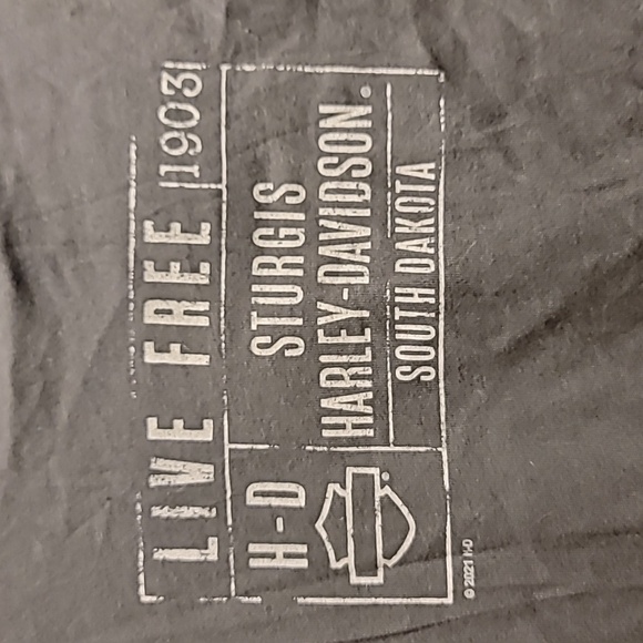 Harley-Davidson Charcoal Tee with Blue Graphic, Womens Size M, NWT - Picture 3 of 6